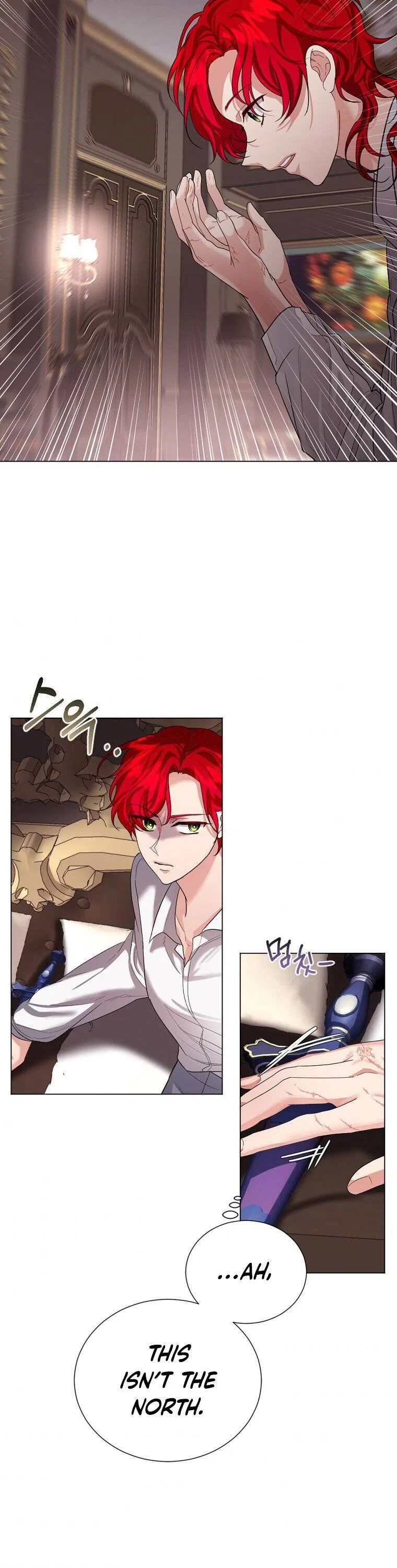 The Duchess’s Contract Marriage Chapter 12 – Page 13
