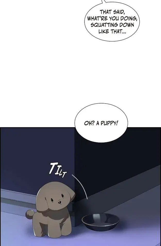 A Misogamist’s Romance Chapter 11 – Page 32
