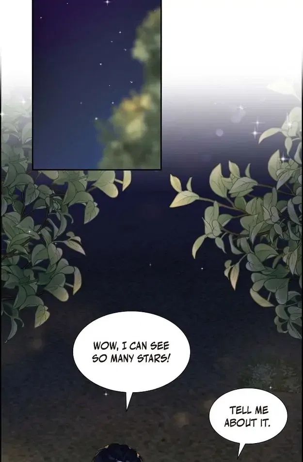 A Misogamist’s Romance Chapter 11 – Page 47