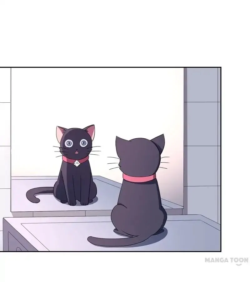 At Your Service, Kitty Chapter 1 – Page 15