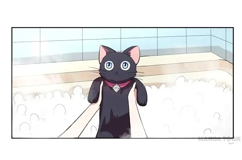 At Your Service, Kitty Chapter 1 – Page 25