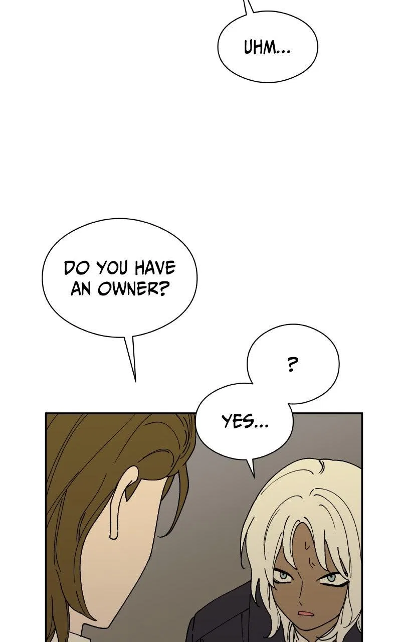 False Paradise Chapter 39 – Page 16