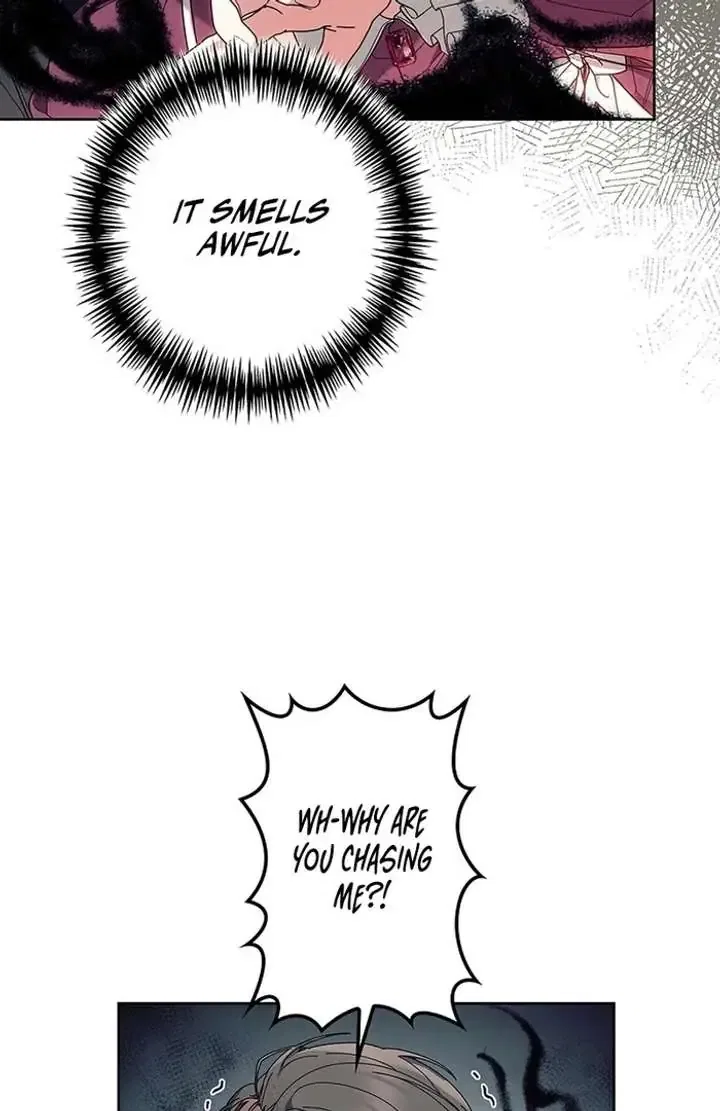 The Super-Strong Noble Lady Wants to Be Truly Weak Chapter 10 – Page 72
