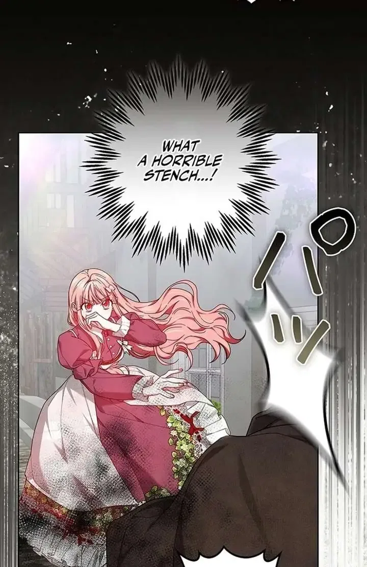 The Super-Strong Noble Lady Wants to Be Truly Weak Chapter 9 – Page 115