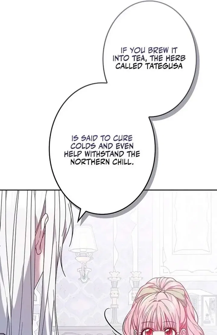 The Super-Strong Noble Lady Wants to Be Truly Weak Chapter 6 – Page 57
