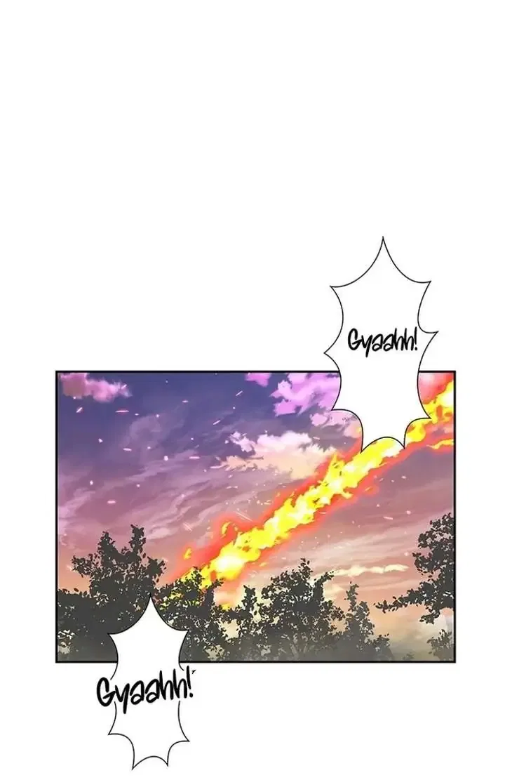 The Super-Strong Noble Lady Wants to Be Truly Weak Chapter 2 – Page 19