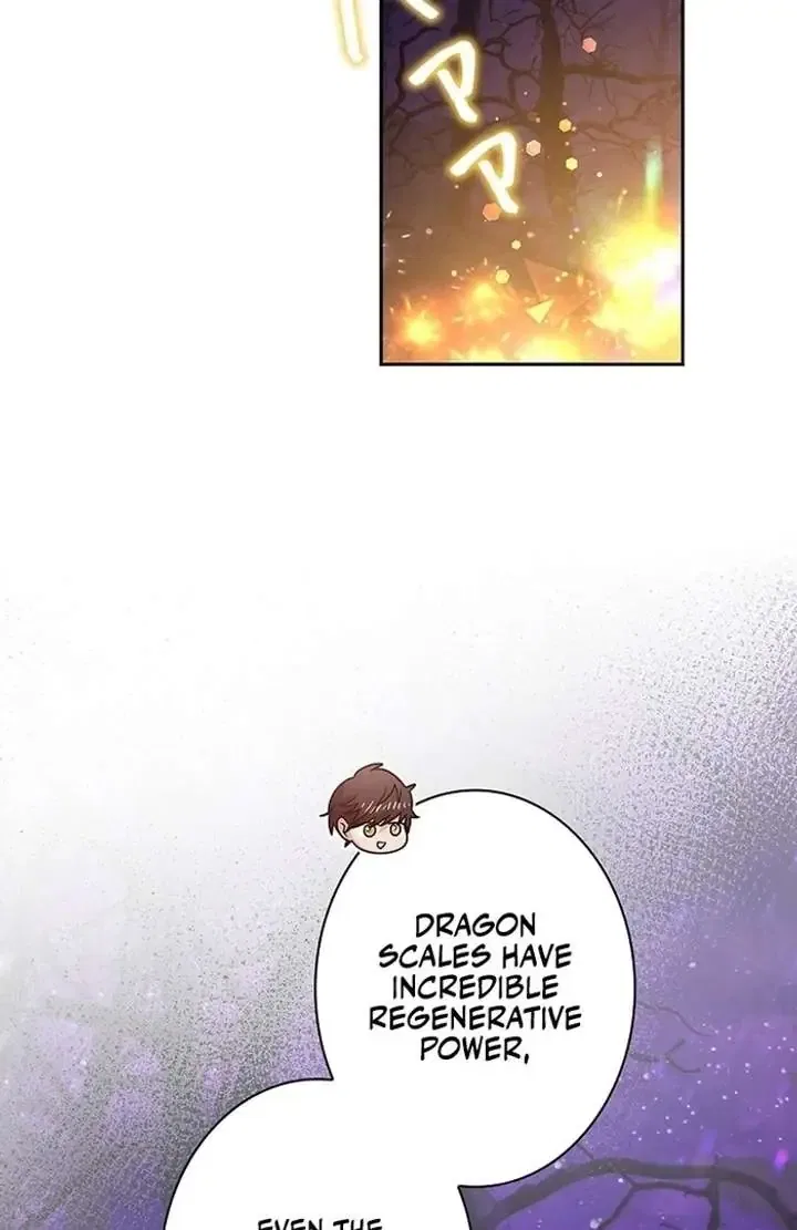 The Super-Strong Noble Lady Wants to Be Truly Weak Chapter 2 – Page 214