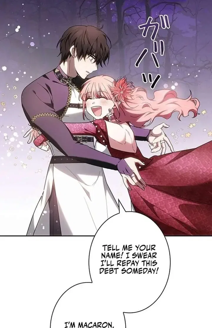 The Super-Strong Noble Lady Wants to Be Truly Weak Chapter 2 – Page 220