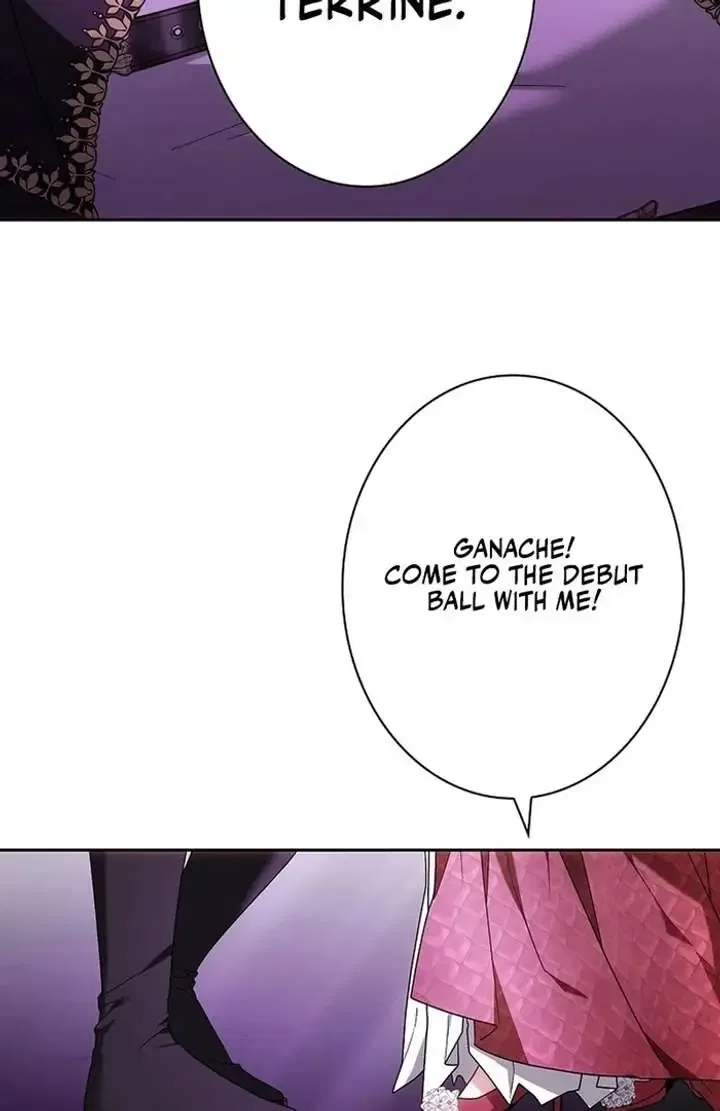 The Super-Strong Noble Lady Wants to Be Truly Weak Chapter 2 – Page 223