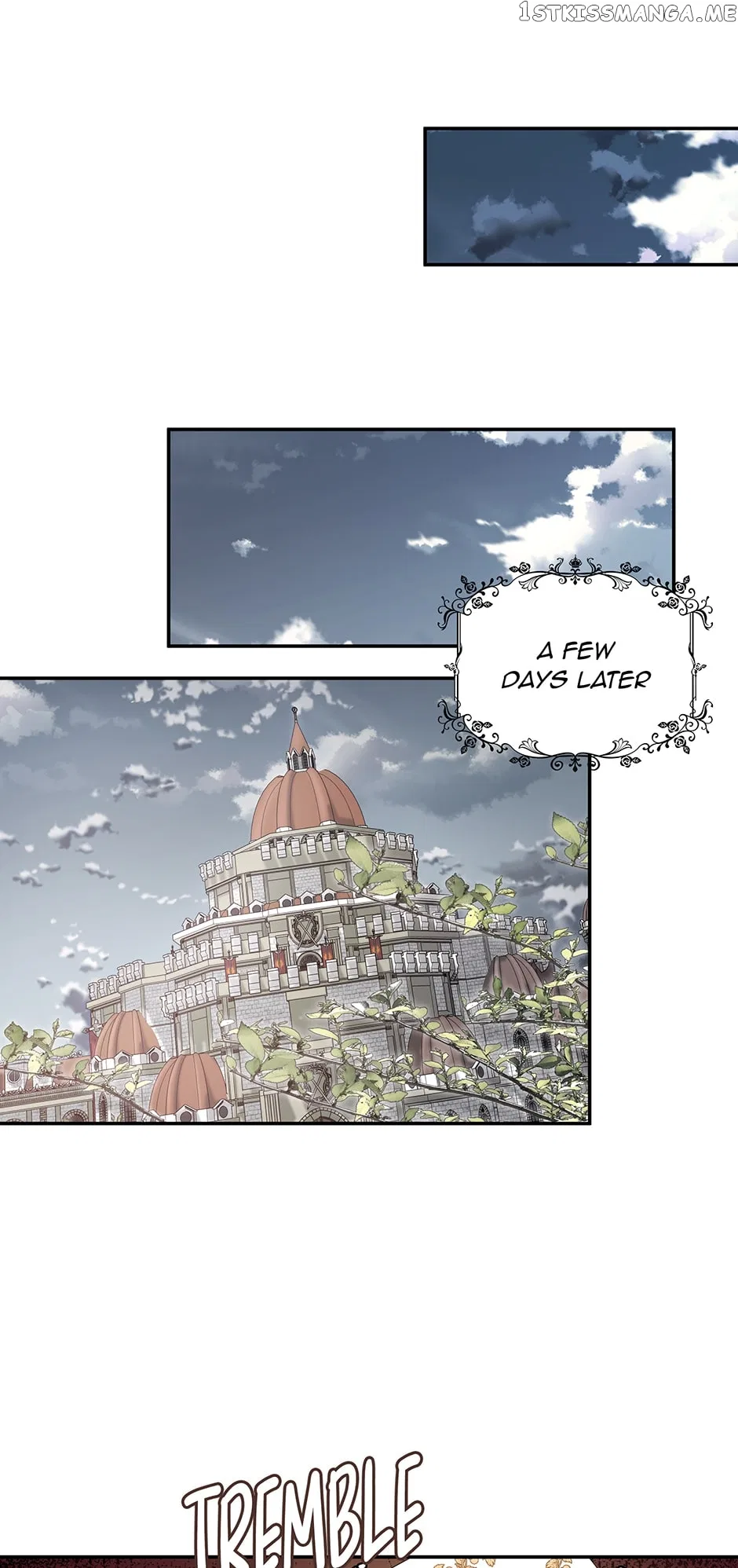 The Two-Faced Princess Chapter 94 – Page 17