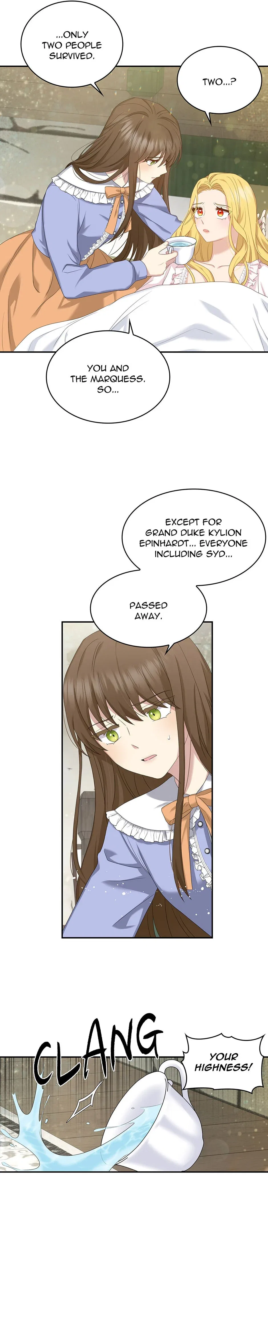 The Two-Faced Princess Chapter 36 – Page 17