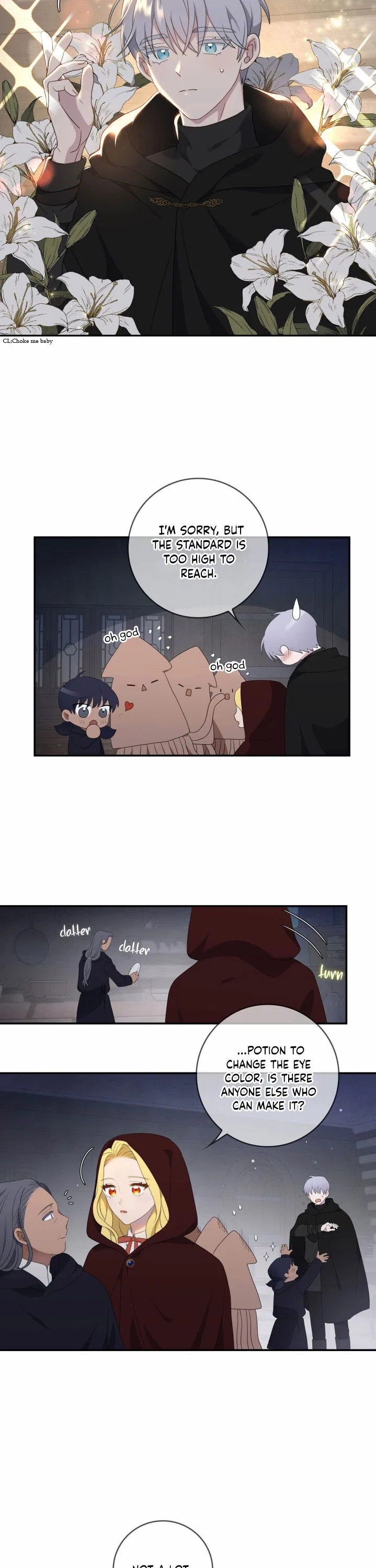 The Two-Faced Princess Chapter 13 – Page 12