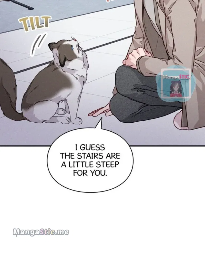 A Morning Kiss at Tiffany’s Chapter 16 – Page 25
