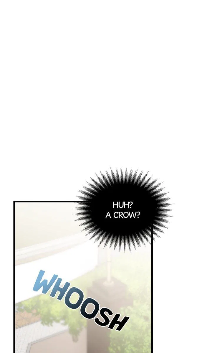 Love From Every Direction Chapter 1 – Page 6