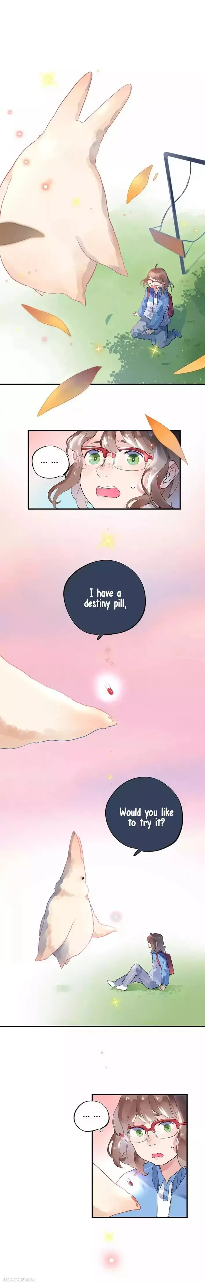 DOLO’s Destiny Pill Chapter 2 – Page 2