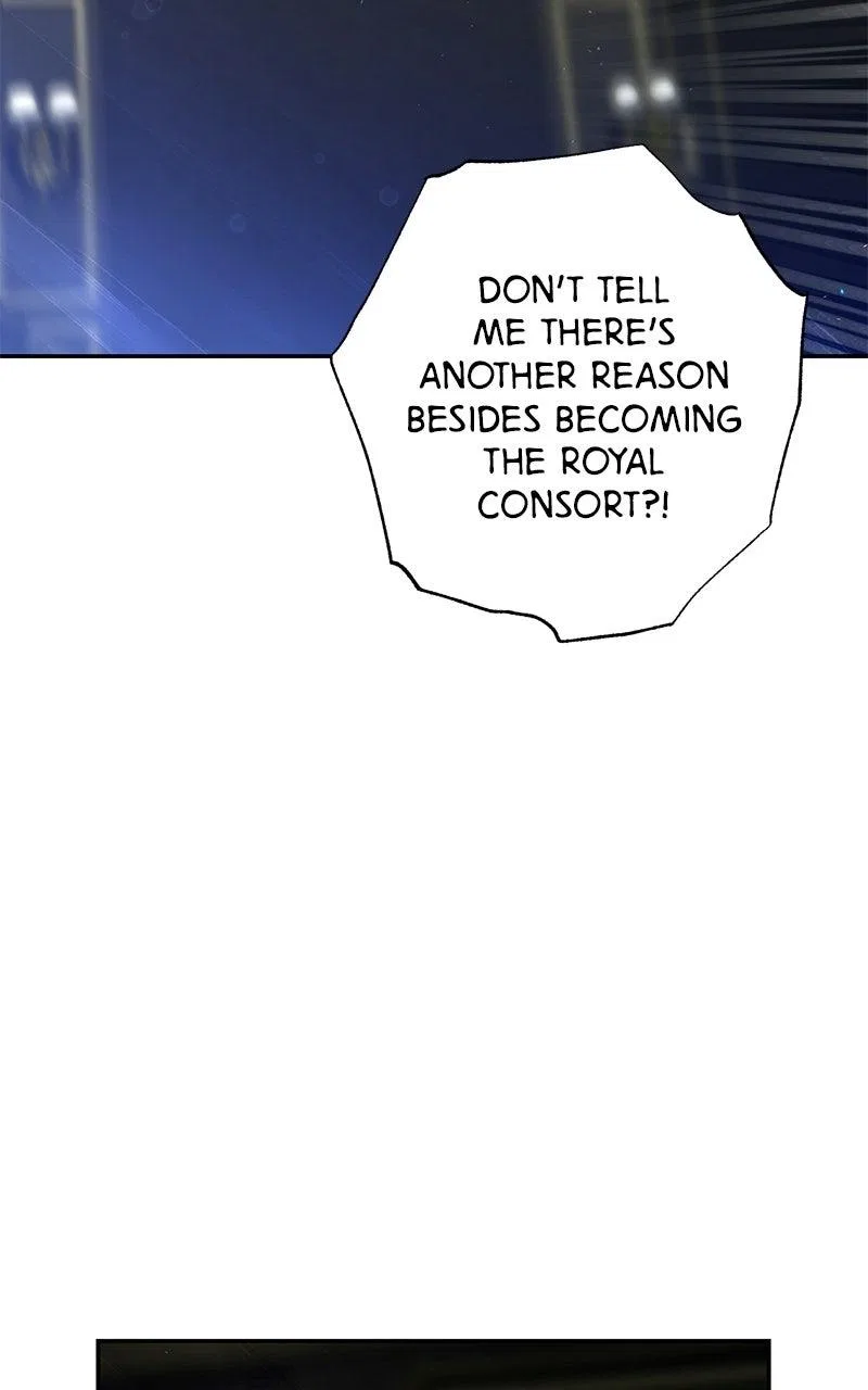 Men of The Harem Chapter 211 – Page 57