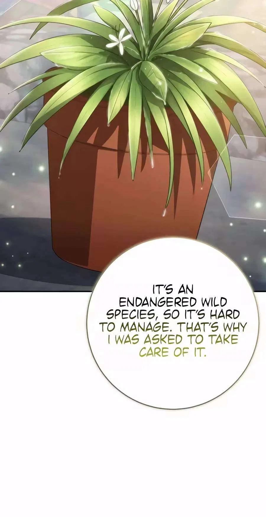Healing With Deulbi Chapter 31 – Page 142