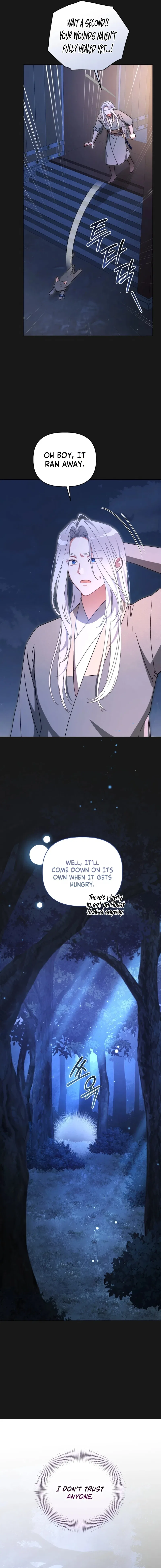 The White Tiger Clan’s Baby Cotton Ball Chapter 39 – Page 12