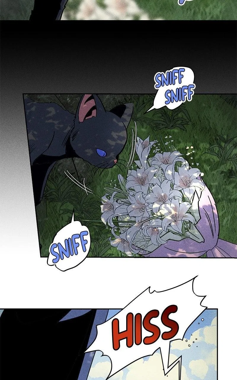 Summer Moon: The Q-Freeze Chapter 50 – Page 87