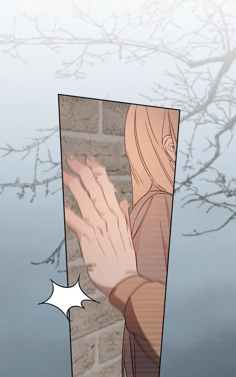 Where the Golden Rose Was Plucked Chapter 50 – Page 88