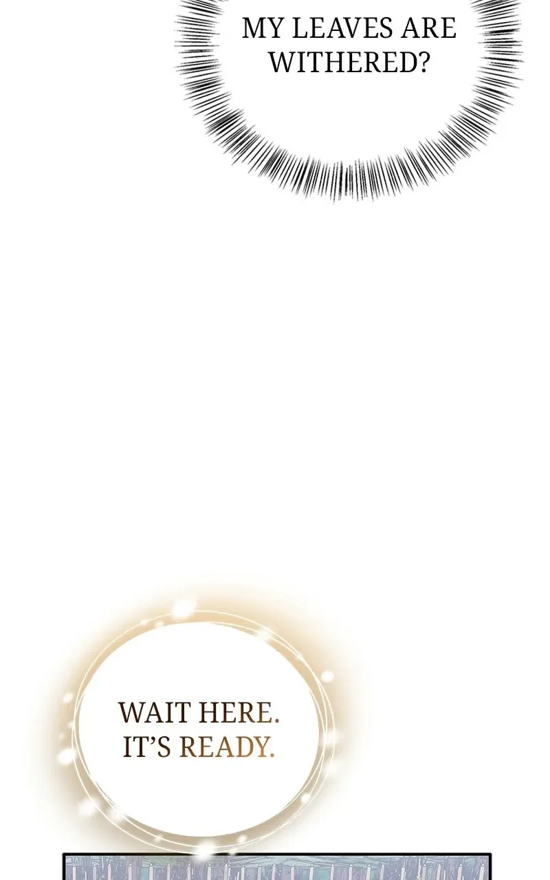 The S-Class Hunter’sPeaceful Life with Monsters Chapter 51 – Page 81