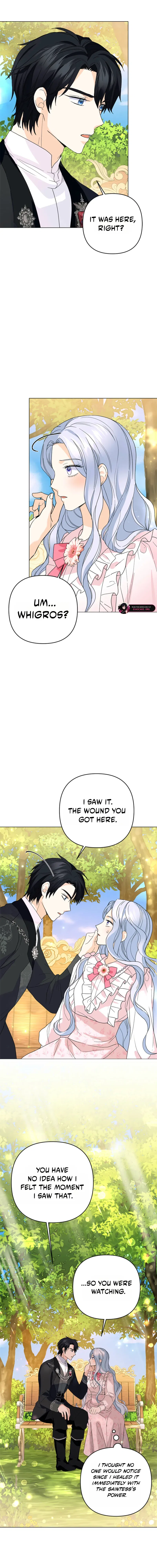 Secret Love Affair Between a Former Saint and a Dark Hero Chapter 38 – Page 5