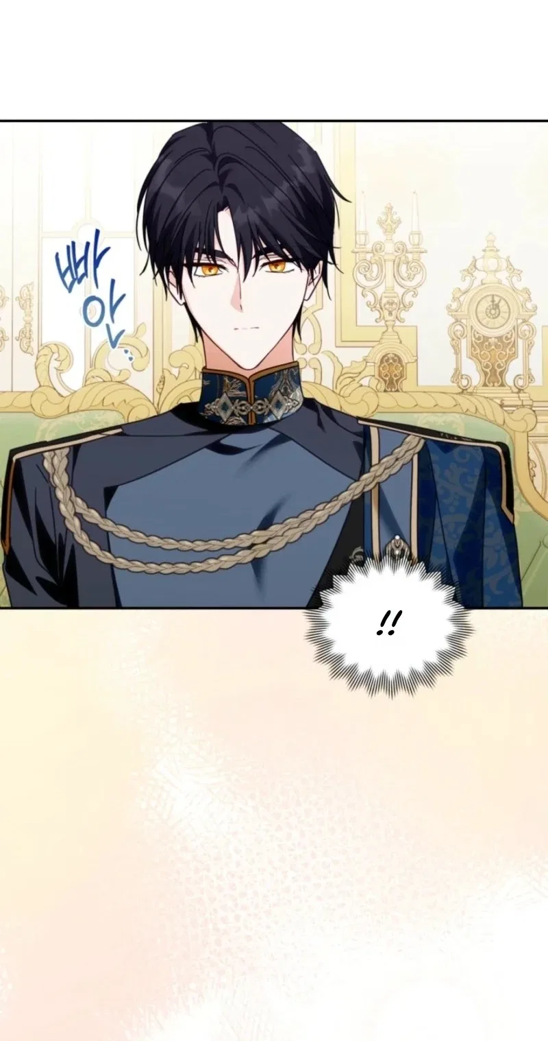 The Search for the Duchess’s Husband Chapter 39 – Page 72
