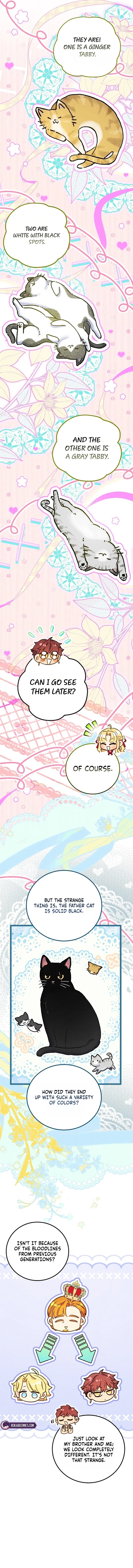 The Villainess Is a Millionaire Fixer Chapter 45 – Page 13
