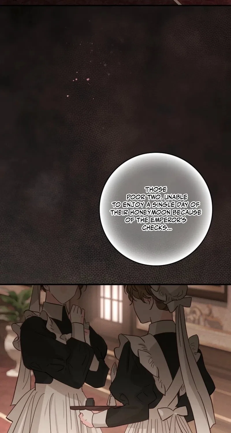 I Saved You, but I’m Not Responsible Chapter 84 – Page 43