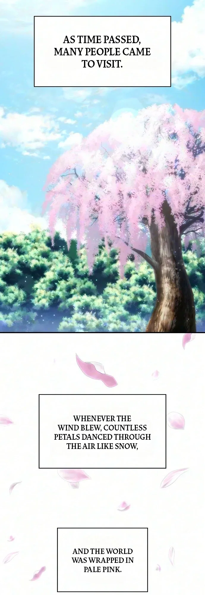 I Will Never Forget Your Fragrance Chapter 26 – Page 8