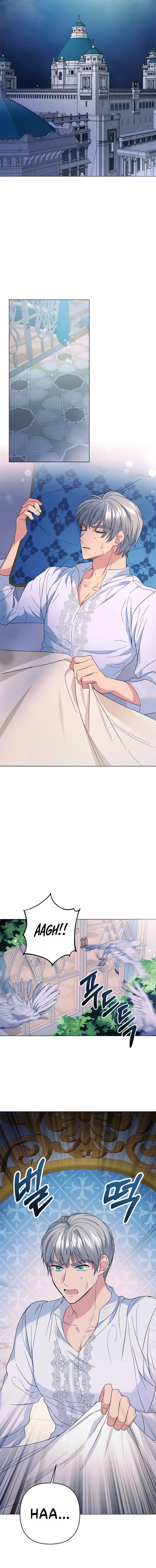 Secret Love Affair Between a Former Saint and a Dark Hero Chapter 39 – Page 11