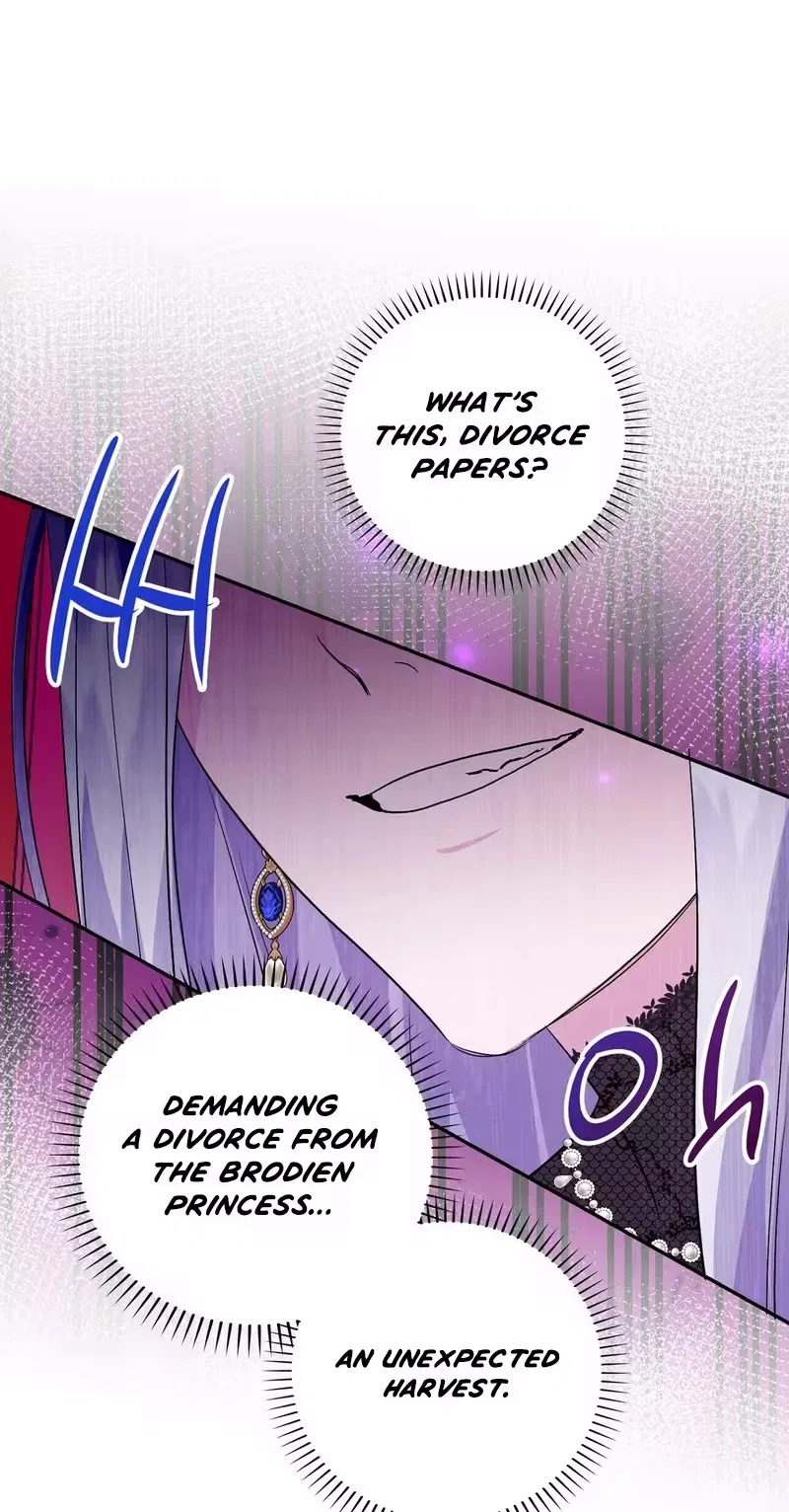 I Reincarnated as the Princess of a Country That Is Going to Destroyed by Male Protagonist Chapter 35 – Page 33