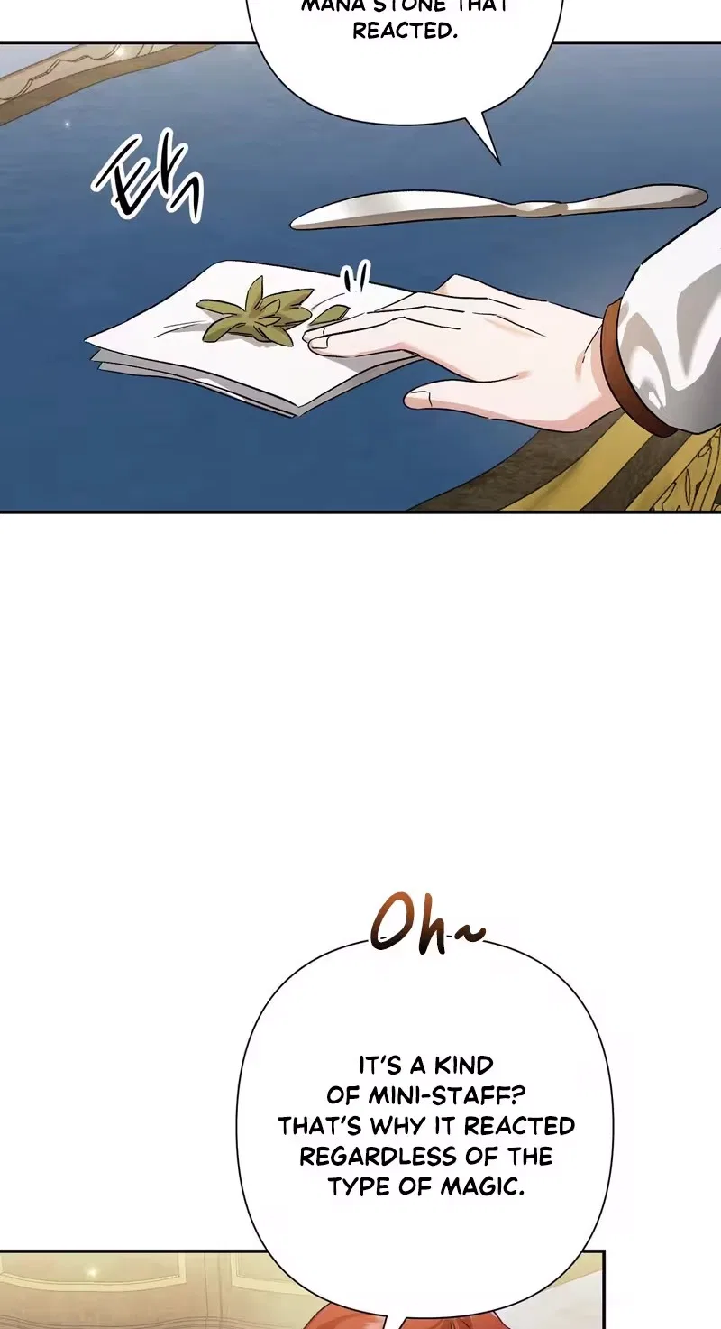 I Reincarnated as the Princess of a Country That Is Going to Destroyed by Male Protagonist Chapter 34 – Page 29