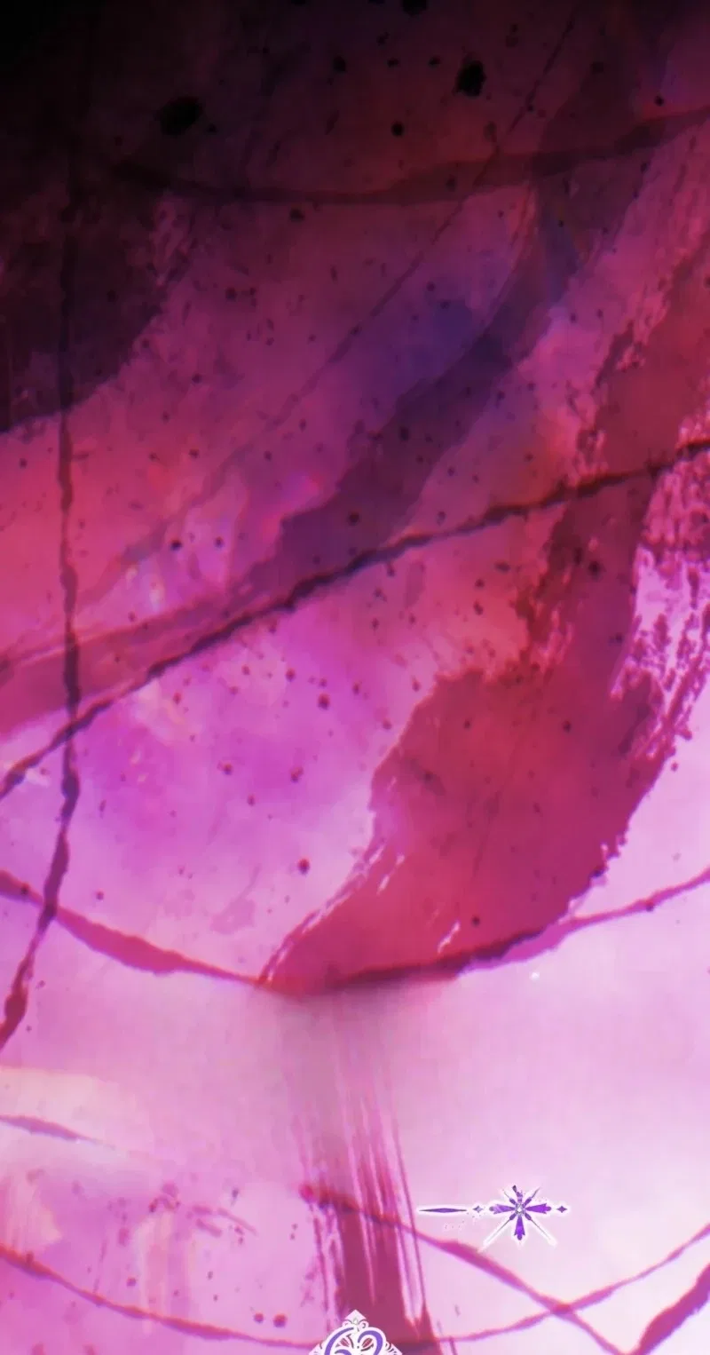 The Maniacs are Obsessed With the Fake Chapter 62 – Page 65