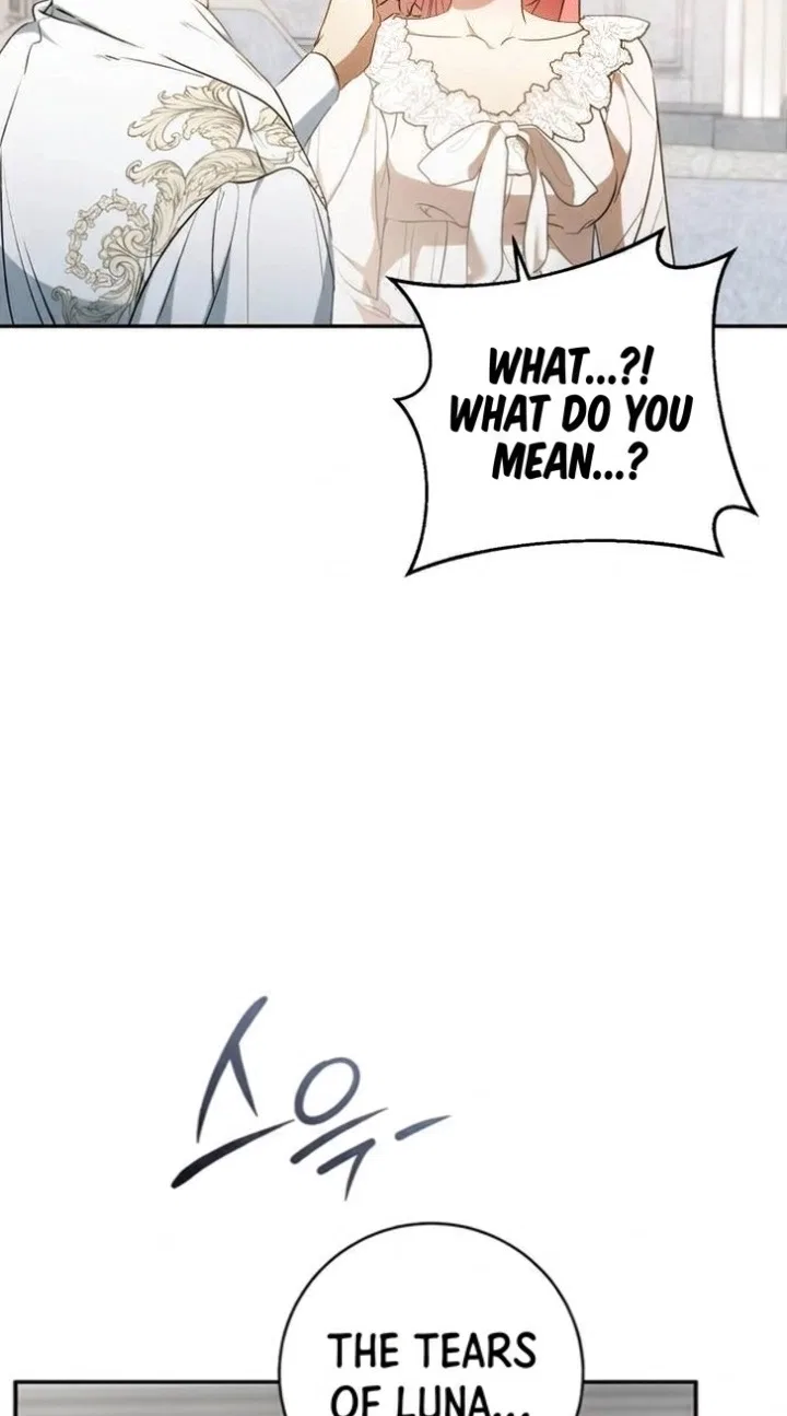 My Husband Was Stolen Twice Chapter 65 – Page 17