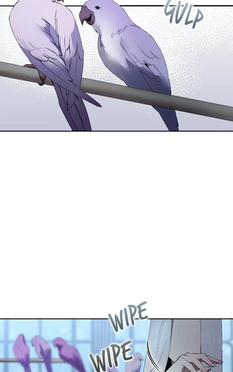 The Dark Duke’s Pet Bird Chapter 60 – Page 67