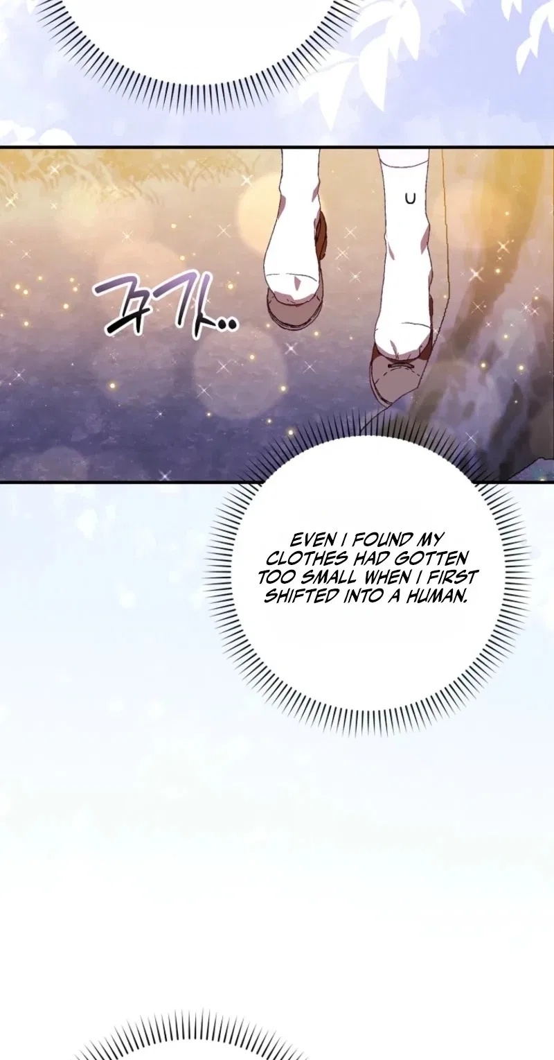 This Wild Mouse Has Taken Cinderella Chapter 62 – Page 71