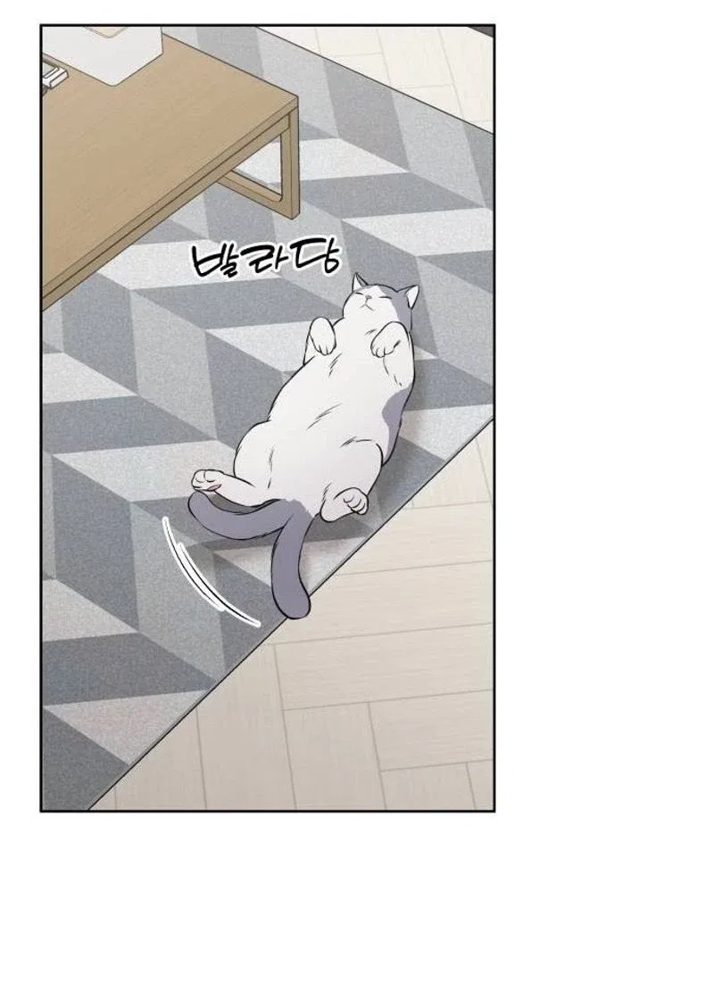 The Secret That Made You Cry Chapter 21 – Page 45