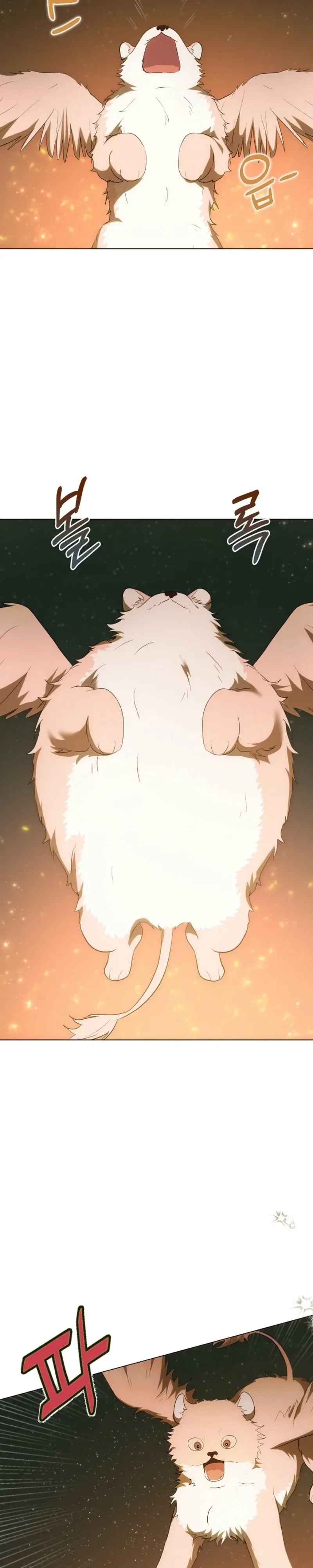 The Chubby Female Lead Is Popular Chapter 41 – Page 15