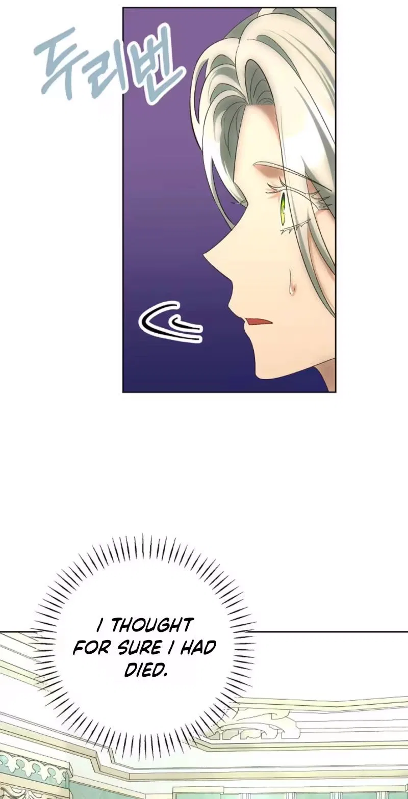 I Became the Wife of the Cursed Grand Duke Chapter 32 – Page 43