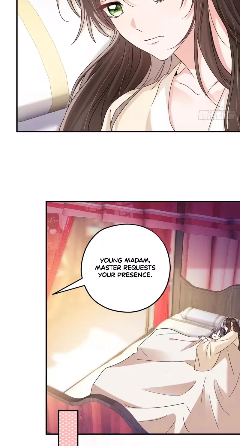 Today the Madam Wants a Divorce Chapter 16 – Page 28