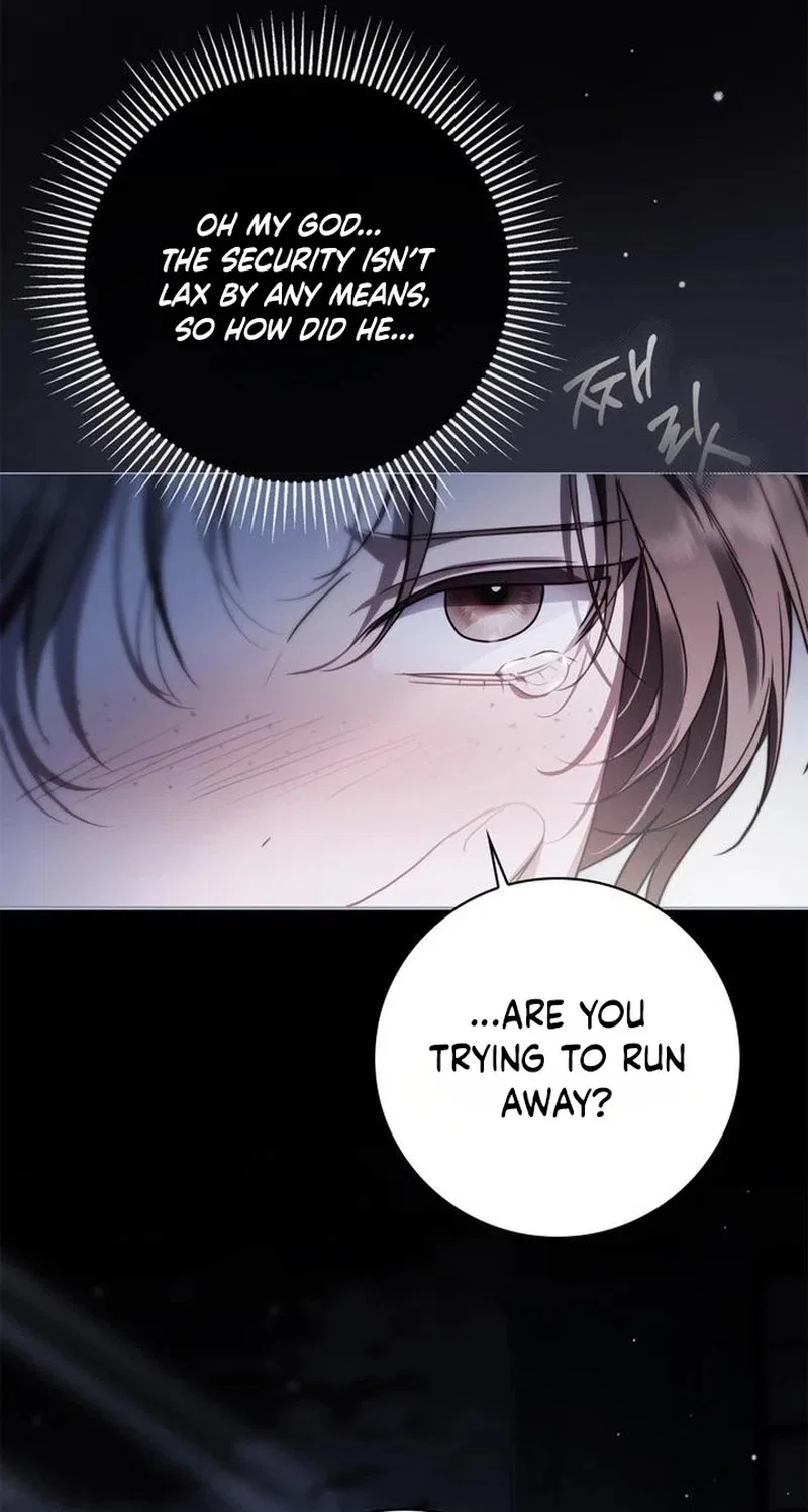 The Count’s Secret Maid Chapter 112 – Page 86