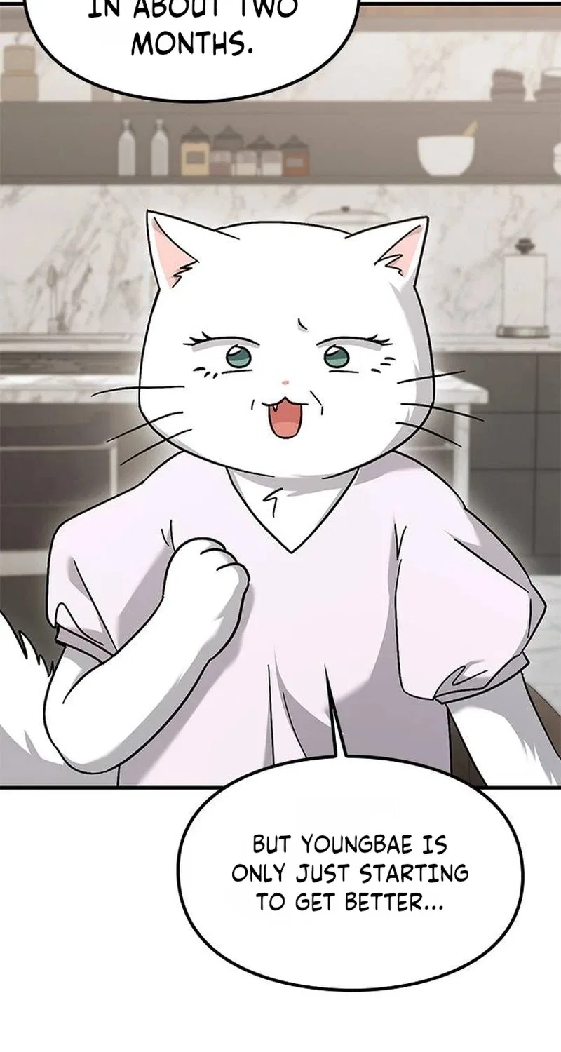 If Everyone in the World Were a Cat Chapter 12 – Page 3
