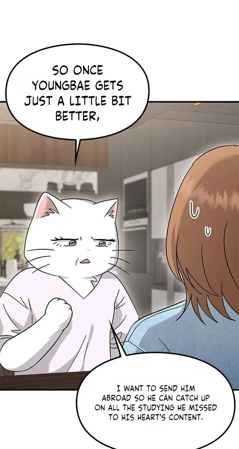 If Everyone in the World Were a Cat Chapter 12 – Page 19