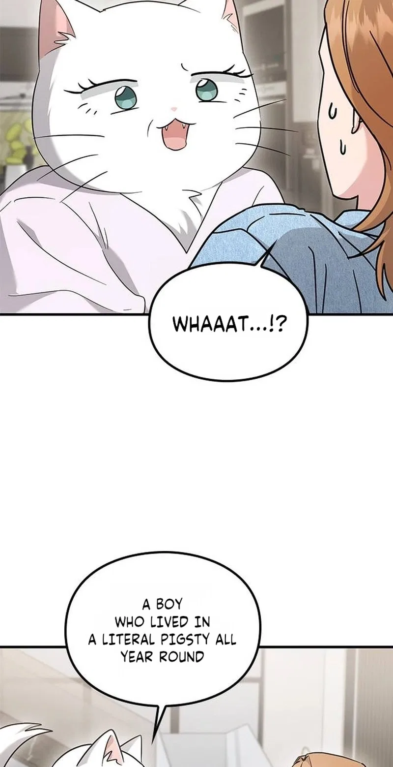 If Everyone in the World Were a Cat Chapter 12 – Page 37
