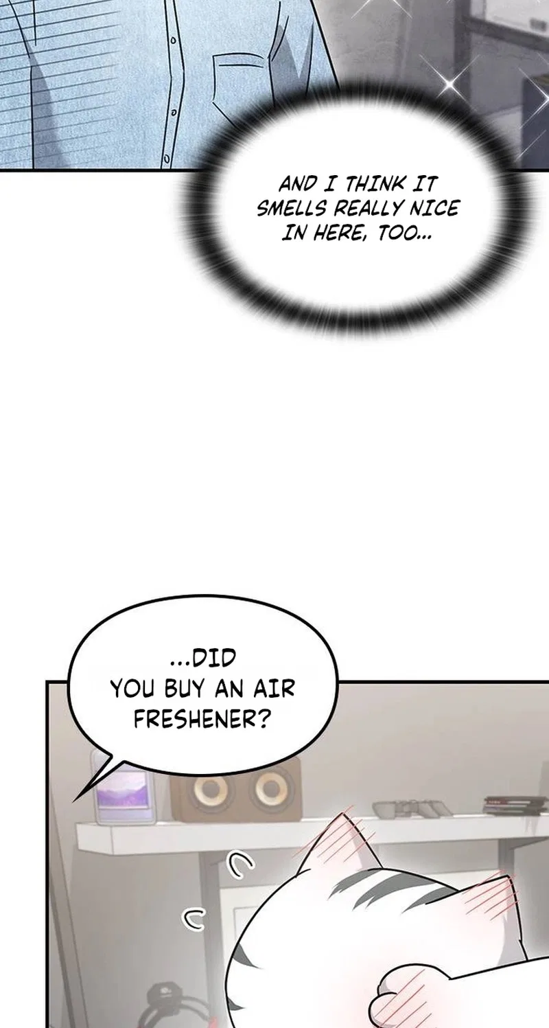 If Everyone in the World Were a Cat Chapter 12 – Page 43