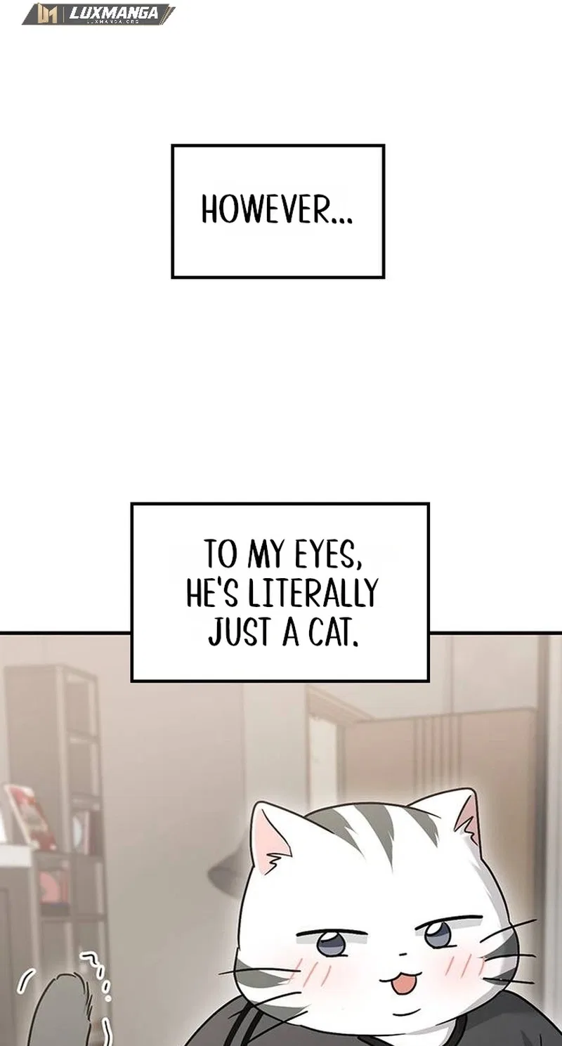 If Everyone in the World Were a Cat Chapter 12 – Page 49