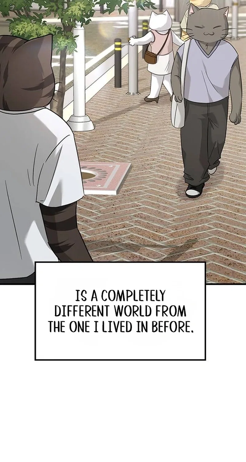 If Everyone in the World Were a Cat Chapter 11 – Page 15