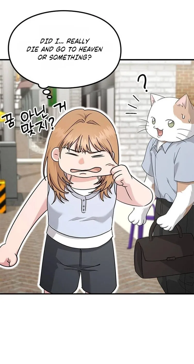 If Everyone in the World Were a Cat Chapter 11 – Page 16