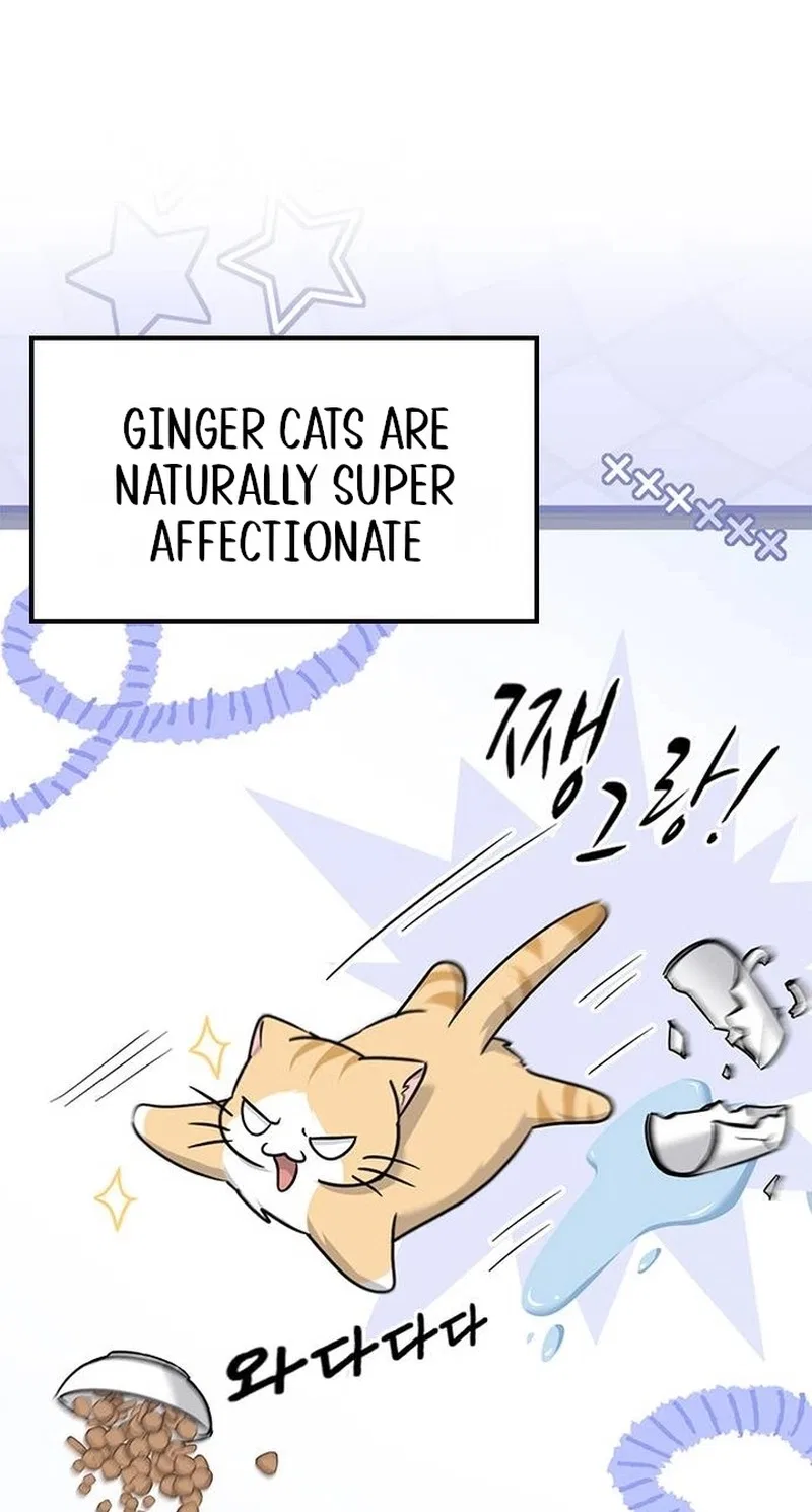 If Everyone in the World Were a Cat Chapter 10 – Page 39